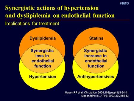 VBWG Synergistic actions of hypertension and dyslipidemia on endothelial function Implications for treatment Mason RP et al. Circulation. 2004;109(suppl.