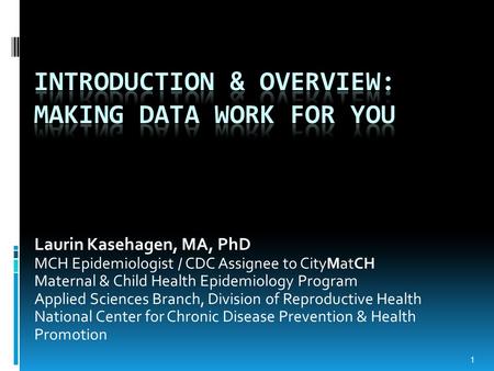 Laurin Kasehagen, MA, PhD MCH Epidemiologist / CDC Assignee to CityMatCH Maternal & Child Health Epidemiology Program Applied Sciences Branch, Division.