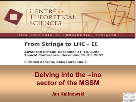Delving into the –ino sector of the MSSM Jan Kalinowski