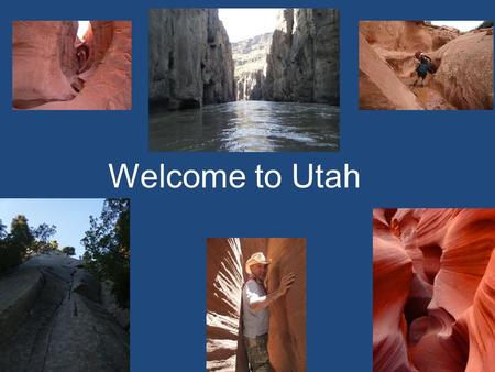 Welcome to Utah. Laparoscopic Banding with or without Gastric Imbrication The pros and cons of this evolving technique Covidian Trainer First Health.