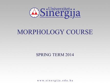 MORPHOLOGY COURSE SPRING TERM 2014. CALQUES Calque is an expression borrowed by way of literal translation from one language into another e.g. Devil‘s.