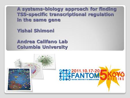 A systems-biology approach for finding TSS-specific transcriptional regulation in the same gene Yishai Shimoni Andrea Califano Lab Columbia University.