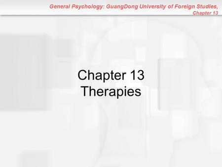 Chapter 13 Therapies.