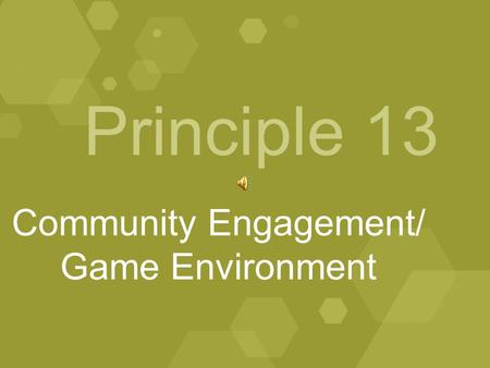 Principle 13 Community Engagement/ Game Environment.