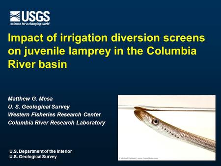 U.S. Department of the Interior U.S. Geological Survey Impact of irrigation diversion screens on juvenile lamprey in the Columbia River basin Matthew G.