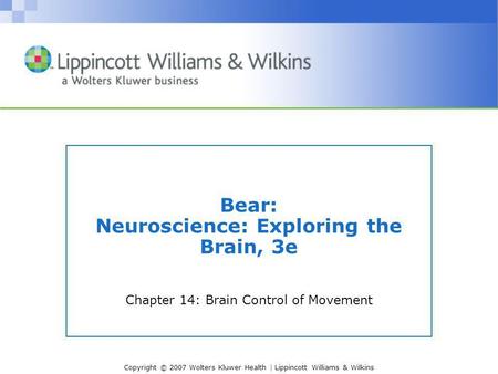 Bear: Neuroscience: Exploring the Brain, 3e