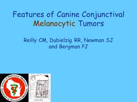 Features of Canine Conjunctival Melanocytic Tumors Reilly CM, Dubielzig RR, Newman SJ and Bergman PJ.