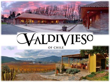 Valdivieso Winery - Main facts - Founded in 1879. Family vineyard (three generations involved directly in the business). Still & sparkling wine producers.