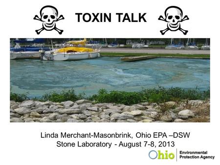 TOXIN TALK Linda Merchant-Masonbrink, Ohio EPA –DSW