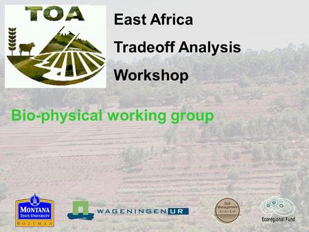 East Africa Tradeoff Analysis Workshop Bio-physical working group.