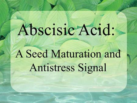 A Seed Maturation and Antistress Signal