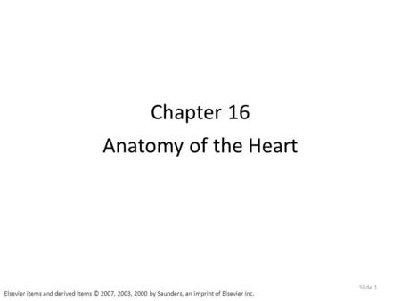 Chapter 16 Anatomy of the Heart