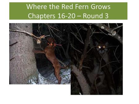 Where the Red Fern Grows Chapters – Round 3