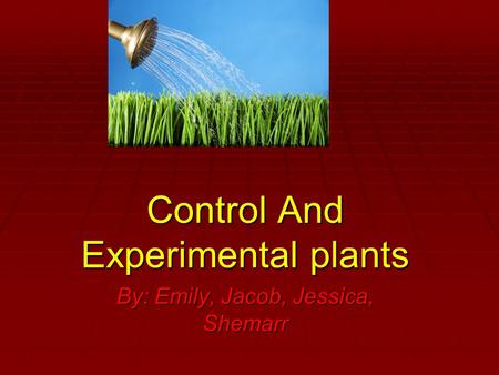 Control And Experimental plants By: Emily, Jacob, Jessica, Shemarr.