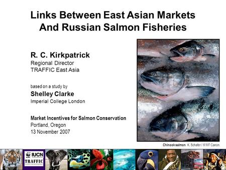 Links Between East Asian Markets And Russian Salmon Fisheries R. C. Kirkpatrick Regional Director TRAFFIC East Asia based on a study by Shelley Clarke.