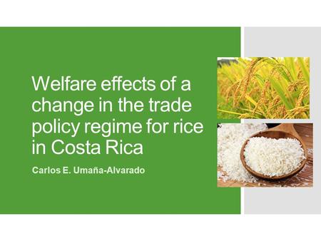 Welfare effects of a change in the trade policy regime for rice in Costa Rica Carlos E. Umaña-Alvarado.