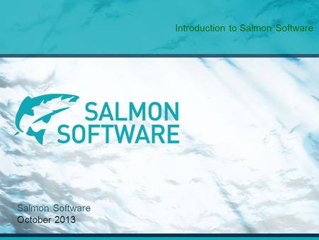 Salmon Software October 2013 Introduction to Salmon Software.