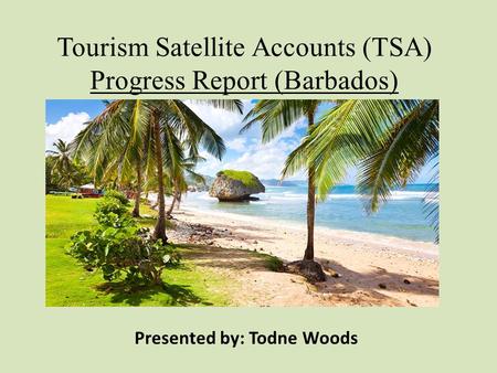 Tourism Satellite Accounts (TSA) Progress Report (Barbados)