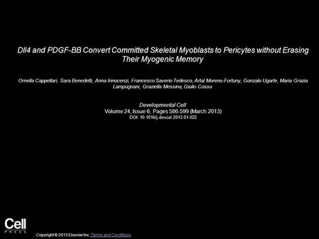 Dll4 and PDGF-BB Convert Committed Skeletal Myoblasts to Pericytes without Erasing Their Myogenic Memory Ornella Cappellari, Sara Benedetti, Anna Innocenzi,