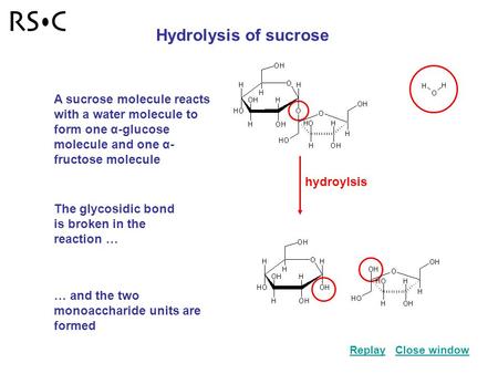 Hydroylsis Hydrolysis of sucrose A sucrose molecule reacts with a water molecule to form one α-glucose molecule and one α- fructose molecule The glycosidic.