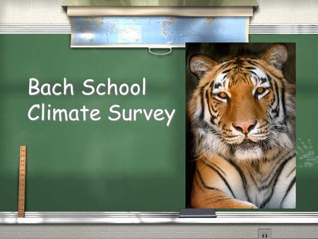 Bach School Climate Survey. Bach School Respectful, Responsible and Safe / 331 students enrolled / 130 surveys returned / 169 students represented in.