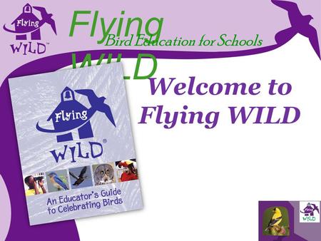 Flying WILD Bird Education for Schools Welcome to Flying WILD.