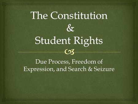 Due Process, Freedom of Expression, and Search & Seizure.