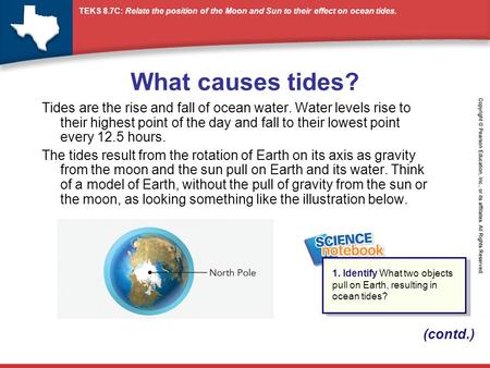 What causes tides? Tides are the rise and fall of ocean water. Water levels rise to their highest point of the day and fall to their lowest point every.