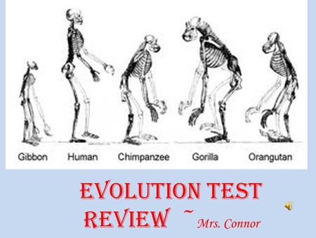 Evolution Test Review ~Mrs. Connor