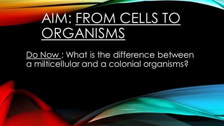 AIM: FROM CELLS TO ORGANISMS Do Now : What is the difference between a milticellular and a colonial organisms?