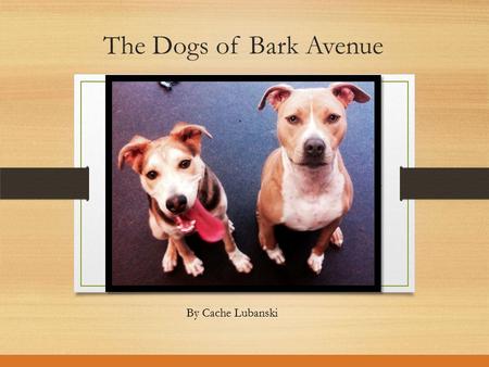 The Dogs of Bark Avenue By Cache Lubanski. Meet Idgie Idgie is a very sweet, loving, obedient, and gentle dog. She always enjoys going on walks, and getting.