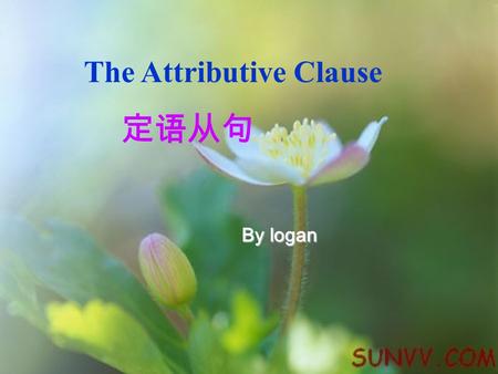 The Attributive Clause 定语从句 By logan. Who: She looked at Jeff who was waving his arms. That: The story that you read is “The Rescue”. She looked at Jeff.