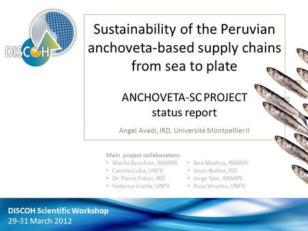 Sustainability of the Peruvian anchoveta-based supply chains from sea to plate ANCHOVETA-SC PROJECT status report Angel Avadi, IRD, Université Montpellier.