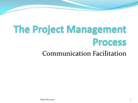 Communication Facilitation Other Processes1. Meeting Types Project Planning Meetings Review of progress against schedule Update plan, identify pain points.