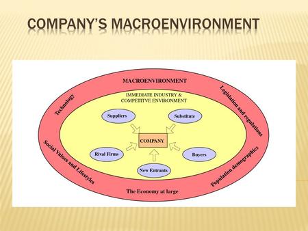 Company’s macroenvironment