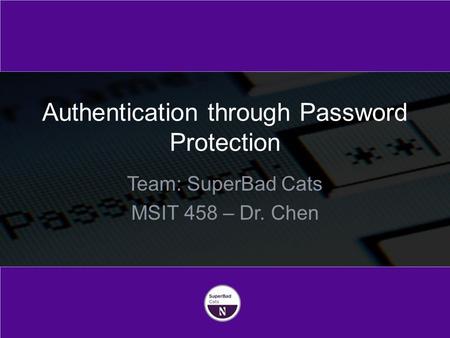 Team: SuperBad Cats MSIT 458 – Dr. Chen Authentication through Password Protection.