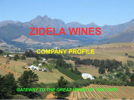ZIDELA WINES COMPANY PROFILE GATEWAY TO THE GREAT WINES OF THE CAPE.