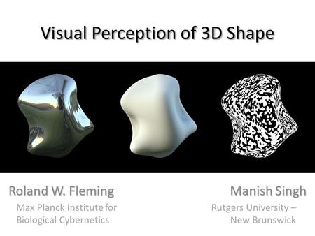 Visual Perception of 3D Shape Roland W. Fleming Manish Singh Max Planck Institute for Biological Cybernetics Rutgers University – New Brunswick.