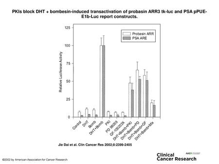 PKIs block DHT + bombesin-induced transactivation of probasin ARR3 tk-luc and PSA pPUE-E1b-Luc report constructs. PKIs block DHT + bombesin-induced transactivation.