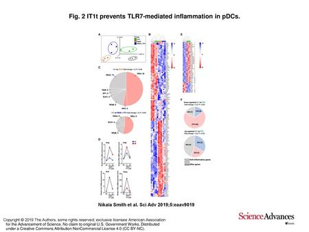 Fig. 2 IT1t prevents TLR7-mediated inflammation in pDCs.
