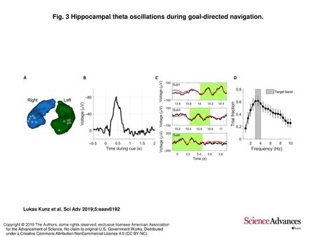 Fig. 3 Hippocampal theta oscillations during goal-directed navigation.