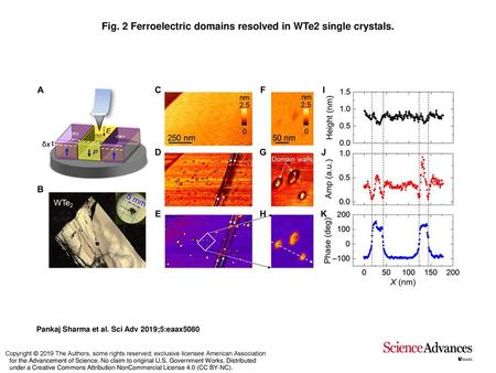 Fig. 2 Ferroelectric domains resolved in WTe2 single crystals.