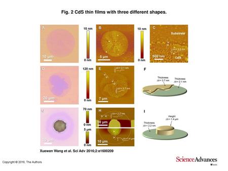 Fig. 2 CdS thin films with three different shapes.