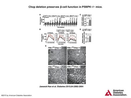 Chop deletion preserves β-cell function in P58IPK−/− mice.
