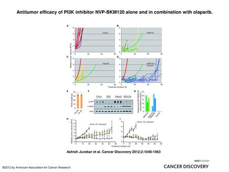 Antitumor efficacy of PI3K inhibitor NVP-BKM120 alone and in combination with olaparib. Antitumor efficacy of PI3K inhibitor NVP-BKM120 alone and in combination.