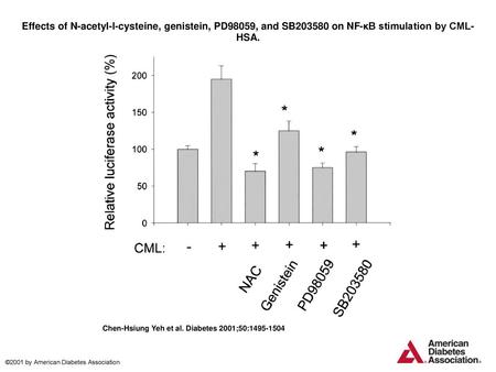 Effects of N-acetyl-l-cysteine, genistein, PD98059, and SB203580 on NF-κB stimulation by CML-HSA. Effects of N-acetyl-l-cysteine, genistein, PD98059, and.