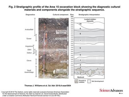 Fig. 2 Stratigraphic profile of the Area 15 excavation block showing the diagnostic cultural materials and components alongside the stratigraphic sequence.