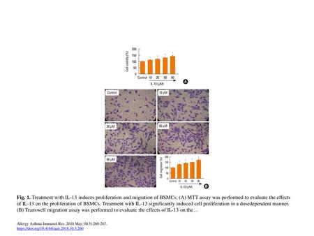 Fig. 1. Treatment with IL-13 induces proliferation and migration of BSMCs. (A) MTT assay was performed to evaluate the effects of IL-13 on the proliferation.