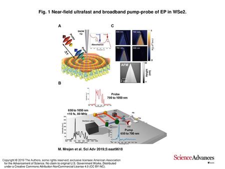 Fig. 1 Near-field ultrafast and broadband pump-probe of EP in WSe2.