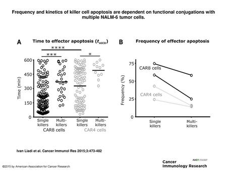 Frequency and kinetics of killer cell apoptosis are dependent on functional conjugations with multiple NALM-6 tumor cells. Frequency and kinetics of killer.